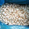 IQF wholesale garlic clove peeled